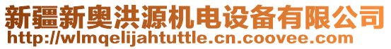 新疆新奧洪源機(jī)電設(shè)備有限公司