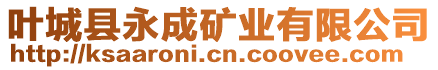 葉城縣永成礦業(yè)有限公司