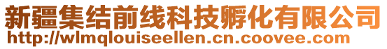 新疆集結(jié)前線科技孵化有限公司