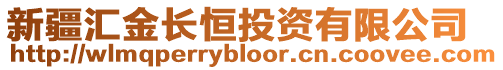 新疆匯金長恒投資有限公司