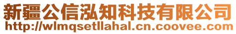 新疆公信泓知科技有限公司