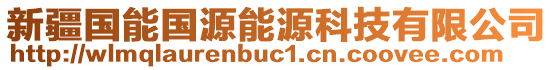 新疆國能國源能源科技有限公司