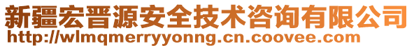 新疆宏晉源安全技術(shù)咨詢有限公司