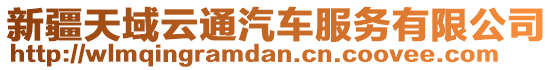 新疆天域云通汽車服務有限公司