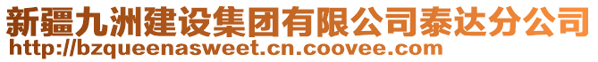 新疆九洲建設(shè)集團(tuán)有限公司泰達(dá)分公司