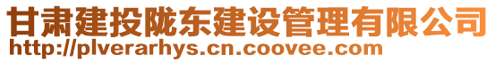 甘肅建投隴東建設(shè)管理有限公司