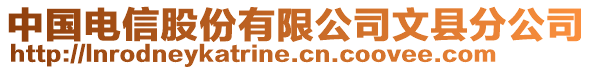 中國(guó)電信股份有限公司文縣分公司