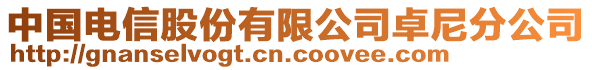 中國電信股份有限公司卓尼分公司