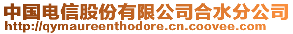 中國電信股份有限公司合水分公司