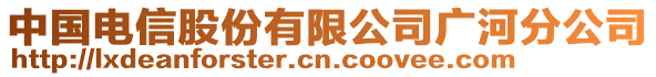 中國(guó)電信股份有限公司廣河分公司