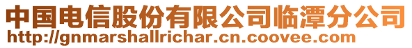 中國電信股份有限公司臨潭分公司