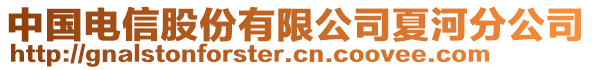 中國電信股份有限公司夏河分公司