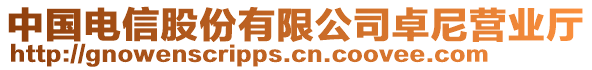 中國電信股份有限公司卓尼營業(yè)廳