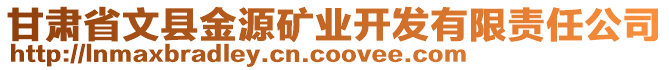 甘肅省文縣金源礦業(yè)開發(fā)有限責(zé)任公司