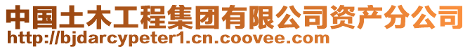 中國(guó)土木工程集團(tuán)有限公司資產(chǎn)分公司