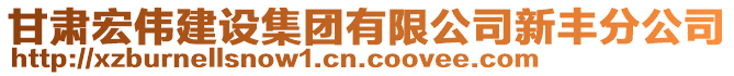 甘肅宏偉建設(shè)集團有限公司新豐分公司