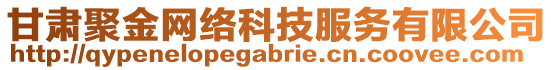 甘肅聚金網(wǎng)絡(luò)科技服務(wù)有限公司