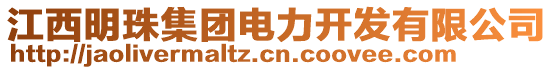 江西明珠集團(tuán)電力開發(fā)有限公司