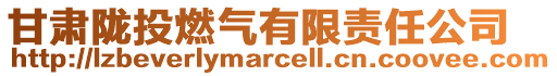 甘肅隴投燃?xì)庥邢挢?zé)任公司