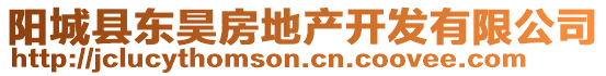 陽(yáng)城縣東昊房地產(chǎn)開(kāi)發(fā)有限公司