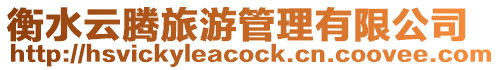 衡水云騰旅游管理有限公司