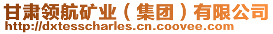 甘肅領(lǐng)航礦業(yè)（集團(tuán)）有限公司