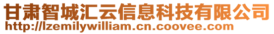 甘肅智城匯云信息科技有限公司