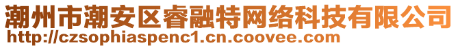 潮州市潮安區(qū)睿融特網(wǎng)絡(luò)科技有限公司