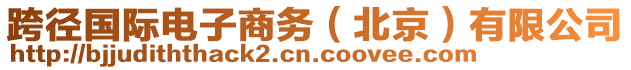 跨徑國(guó)際電子商務(wù)（北京）有限公司