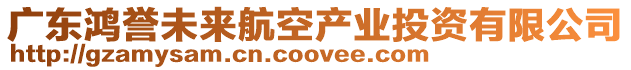 廣東鴻譽(yù)未來(lái)航空產(chǎn)業(yè)投資有限公司