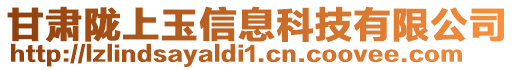 甘肅隴上玉信息科技有限公司