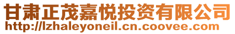 甘肅正茂嘉悅投資有限公司