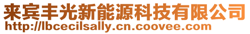 來賓豐光新能源科技有限公司