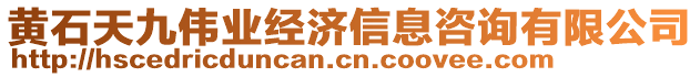 黃石天九偉業(yè)經(jīng)濟(jì)信息咨詢有限公司