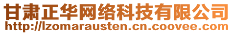 甘肅正華網絡科技有限公司