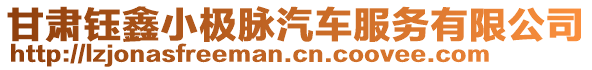 甘肅鈺鑫小極脈汽車服務(wù)有限公司