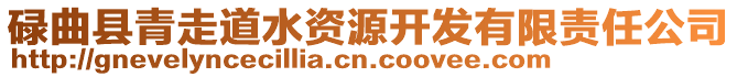 碌曲縣青走道水資源開發(fā)有限責任公司