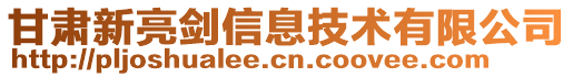 甘肅新亮劍信息技術(shù)有限公司