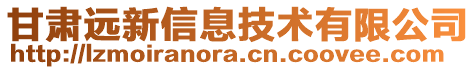 甘肅遠(yuǎn)新信息技術(shù)有限公司