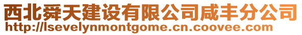 西北舜天建設有限公司咸豐分公司