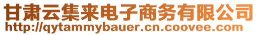 甘肅云集來電子商務(wù)有限公司