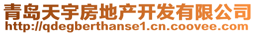 青島天宇房地產(chǎn)開發(fā)有限公司