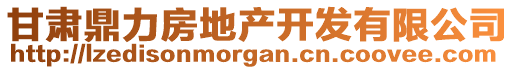 甘肅鼎力房地產(chǎn)開發(fā)有限公司