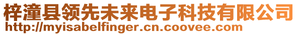 梓潼縣領先未來電子科技有限公司