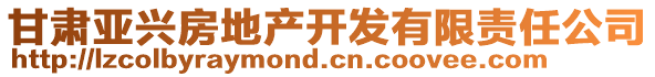 甘肅亞興房地產(chǎn)開發(fā)有限責(zé)任公司