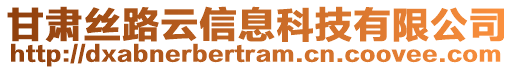 甘肅絲路云信息科技有限公司