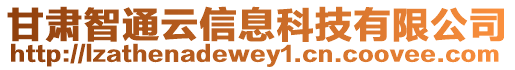甘肅智通云信息科技有限公司