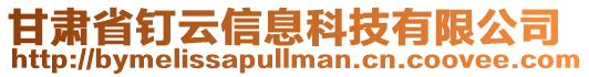 甘肅省釘云信息科技有限公司