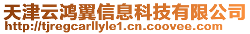 天津云鴻翼信息科技有限公司