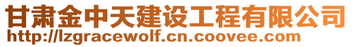 甘肅金中天建設(shè)工程有限公司